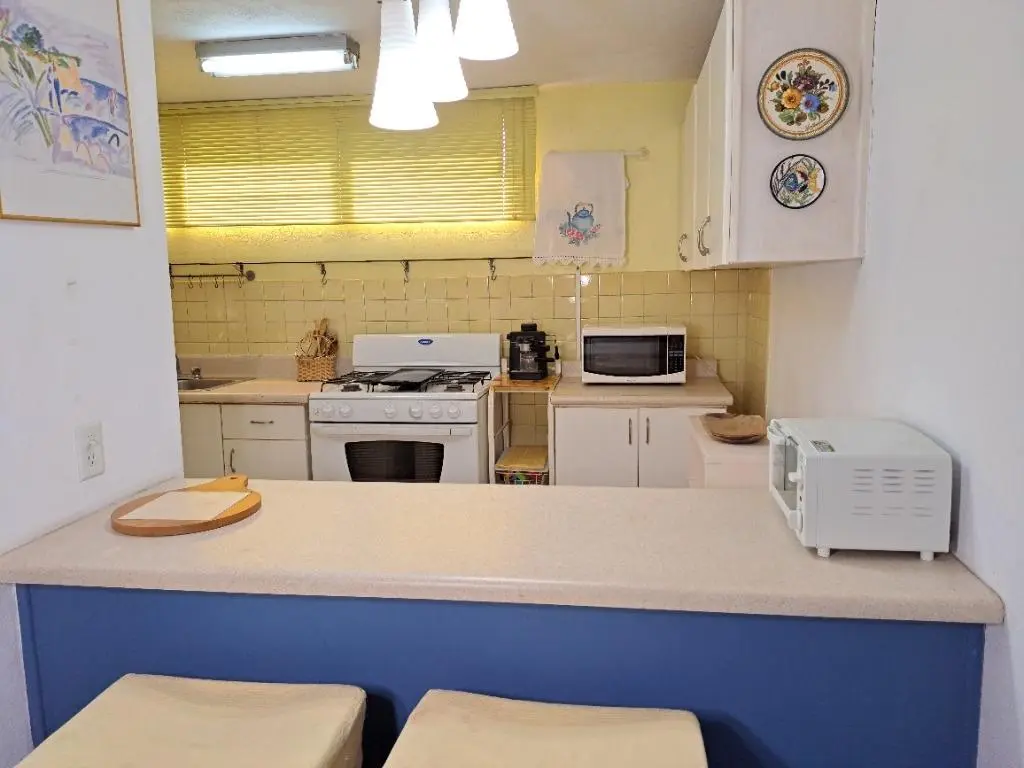 Coronado Ph Aprucc #76 - Photo 12