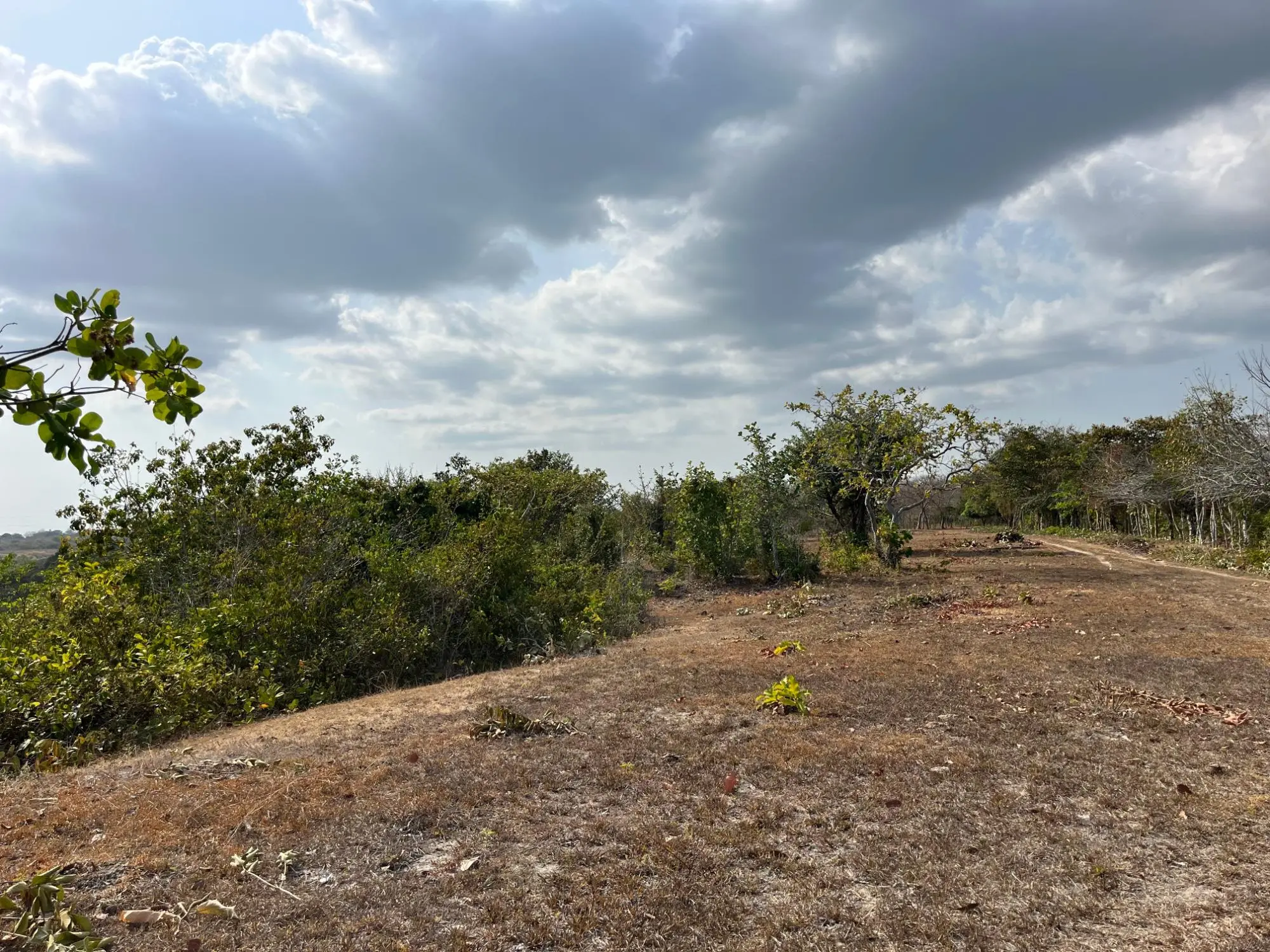 El Higo De San Carlos - Photo 39