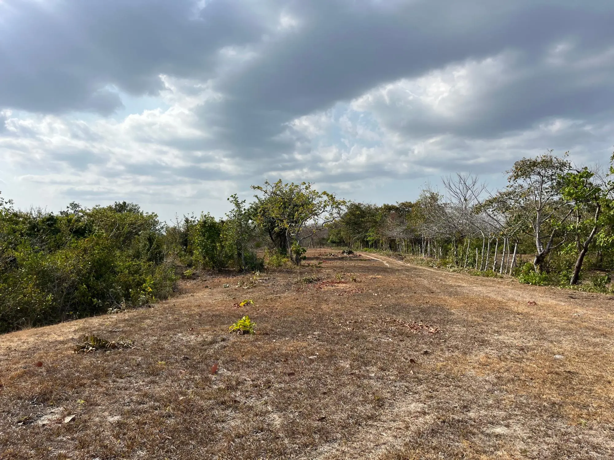 El Higo De San Carlos - Photo 34