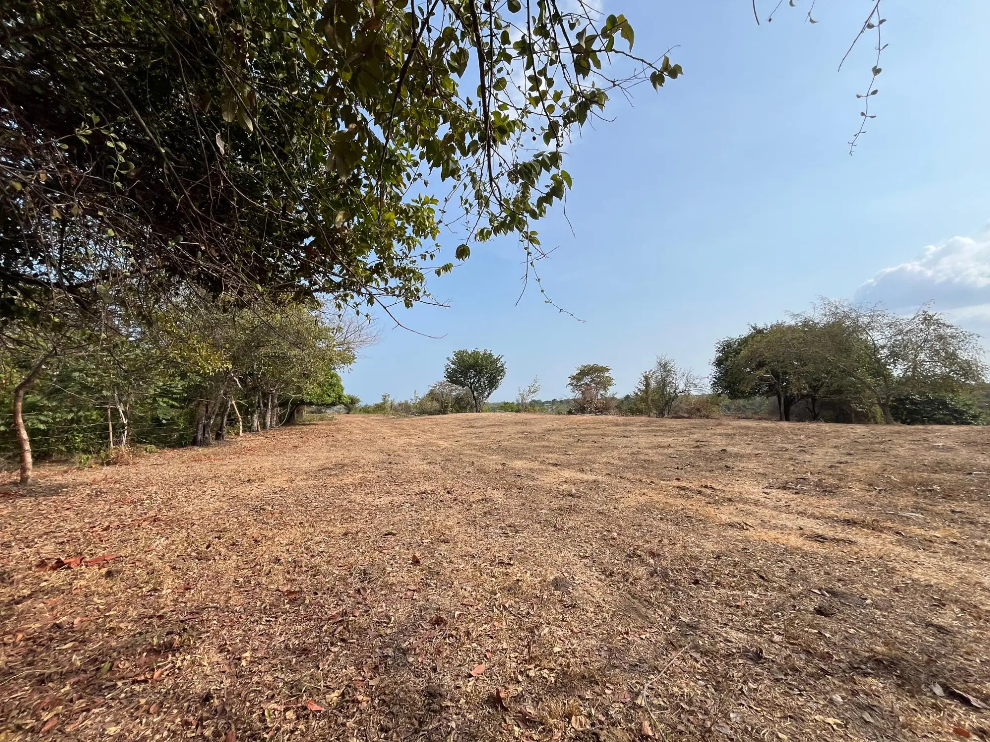 El Higo De San Carlos - Photo 30