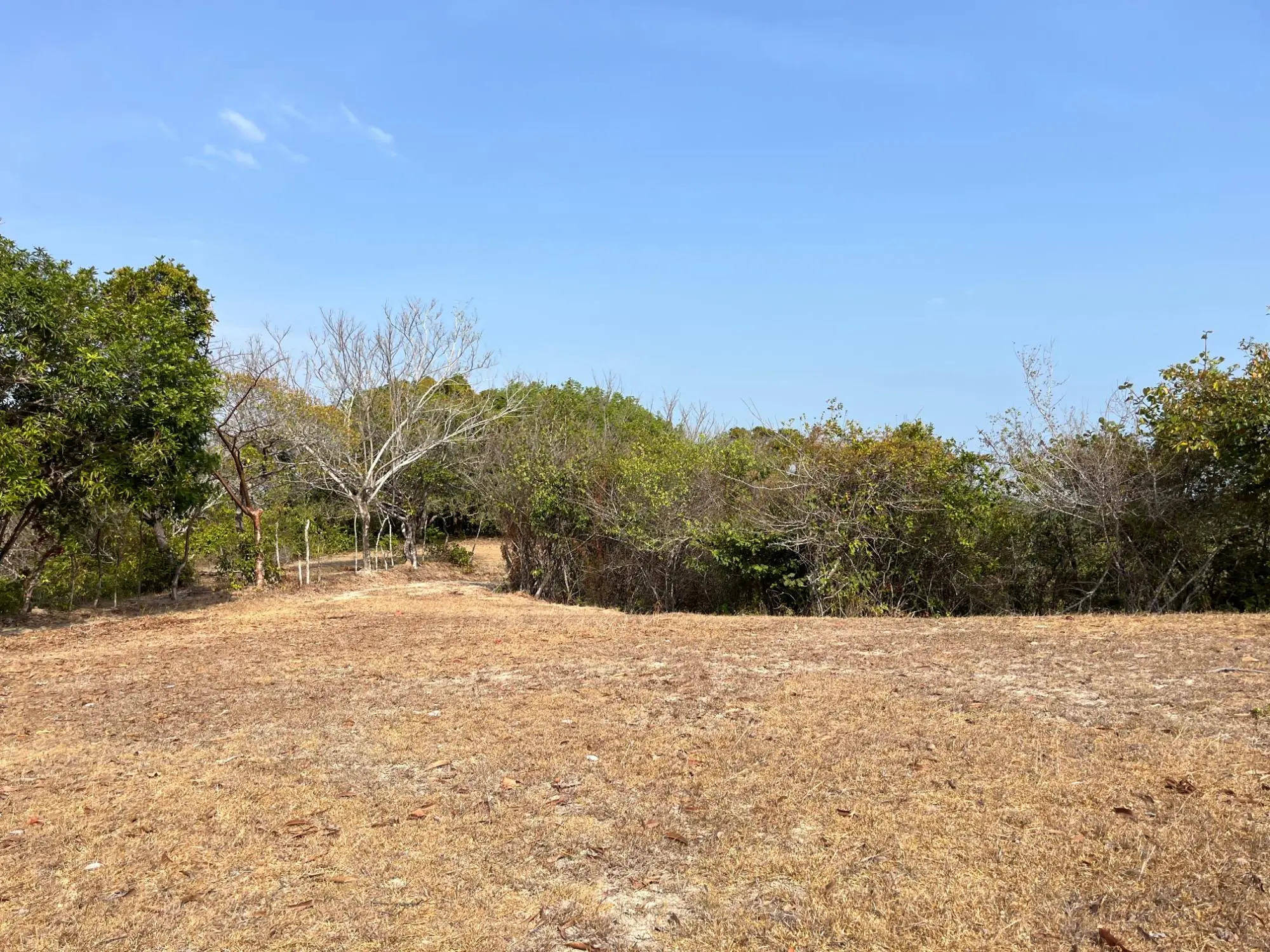 El Higo De San Carlos - Photo 24