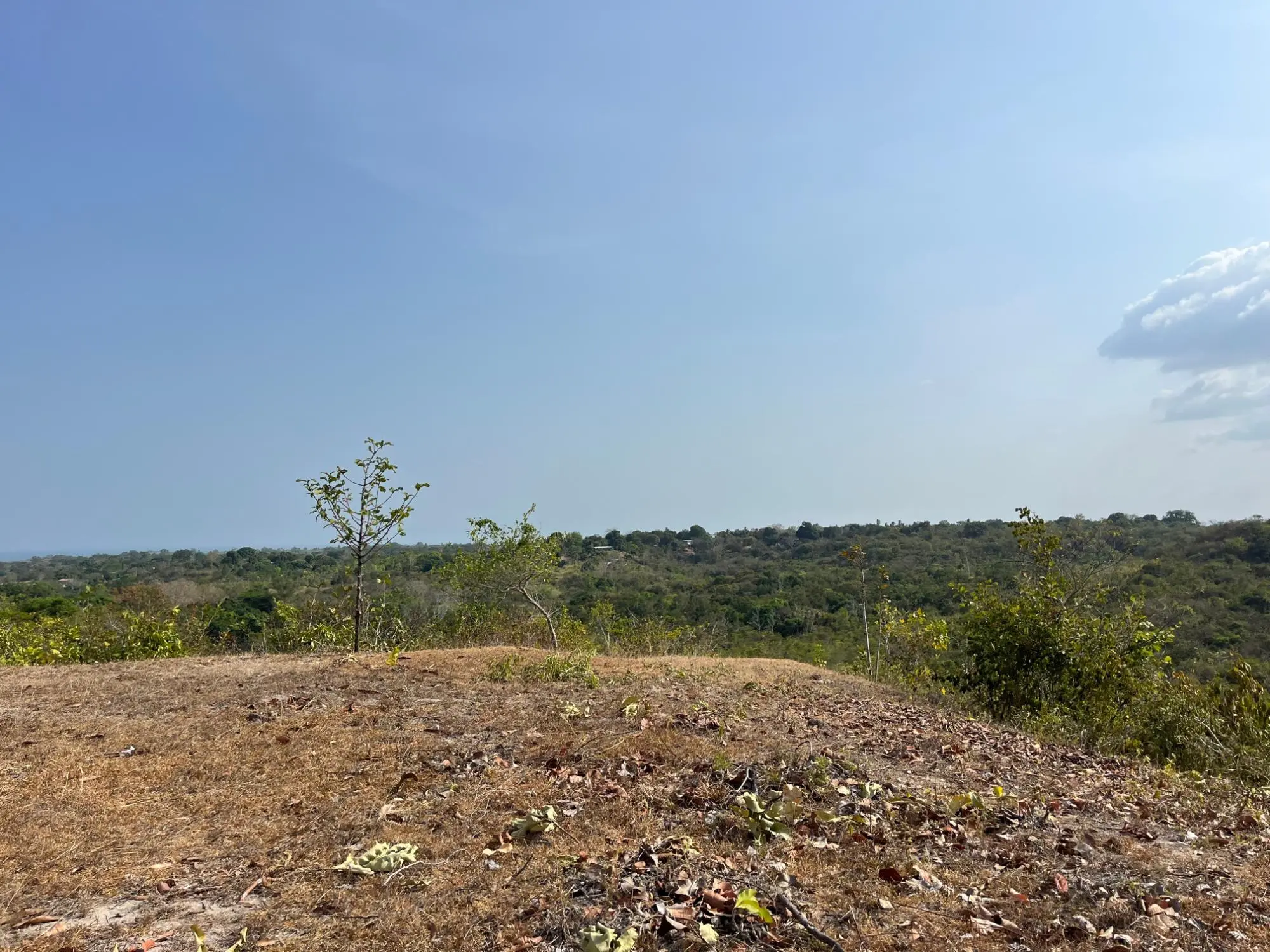 El Higo De San Carlos - Photo 50