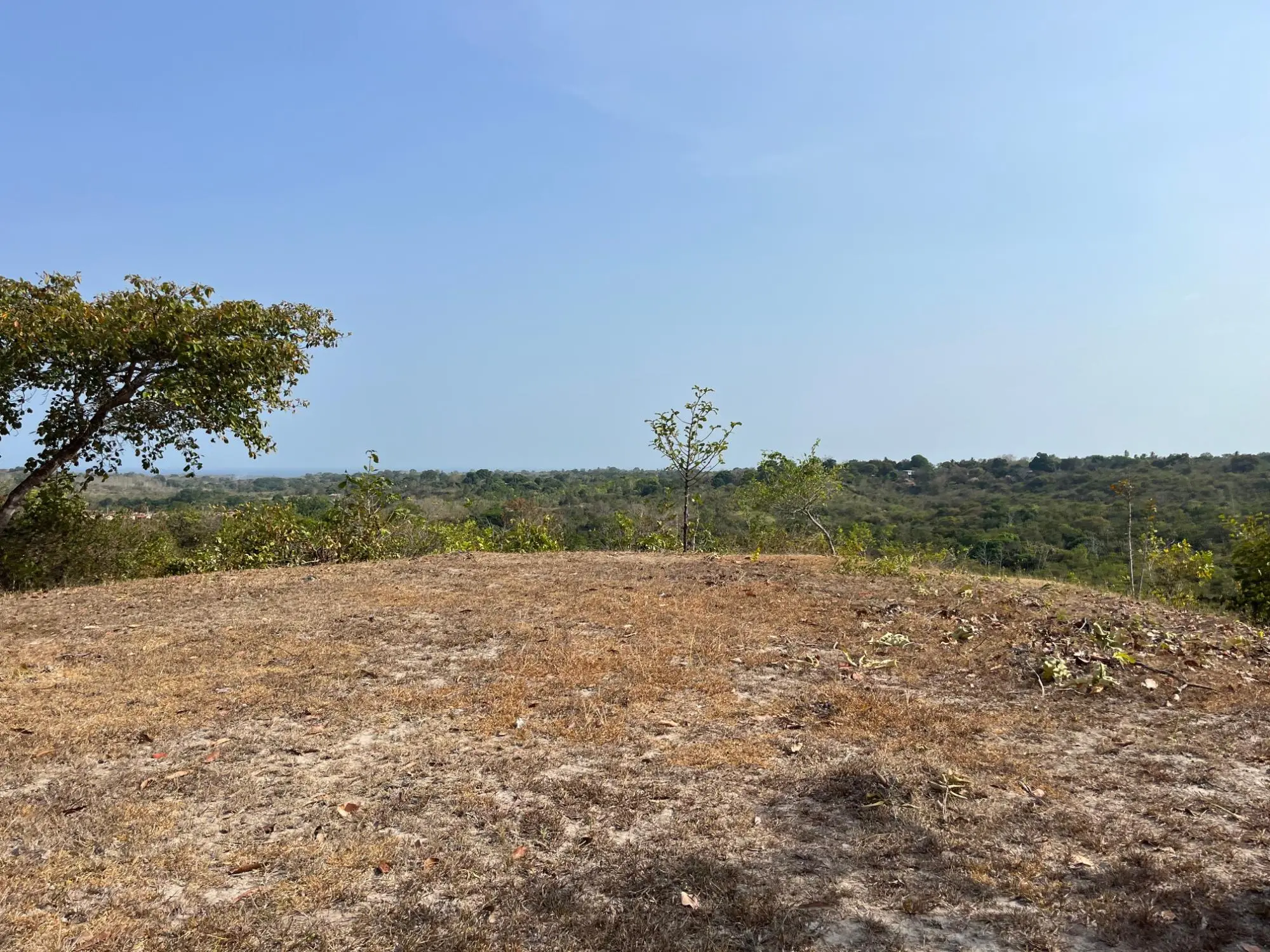 El Higo De San Carlos - Photo 19