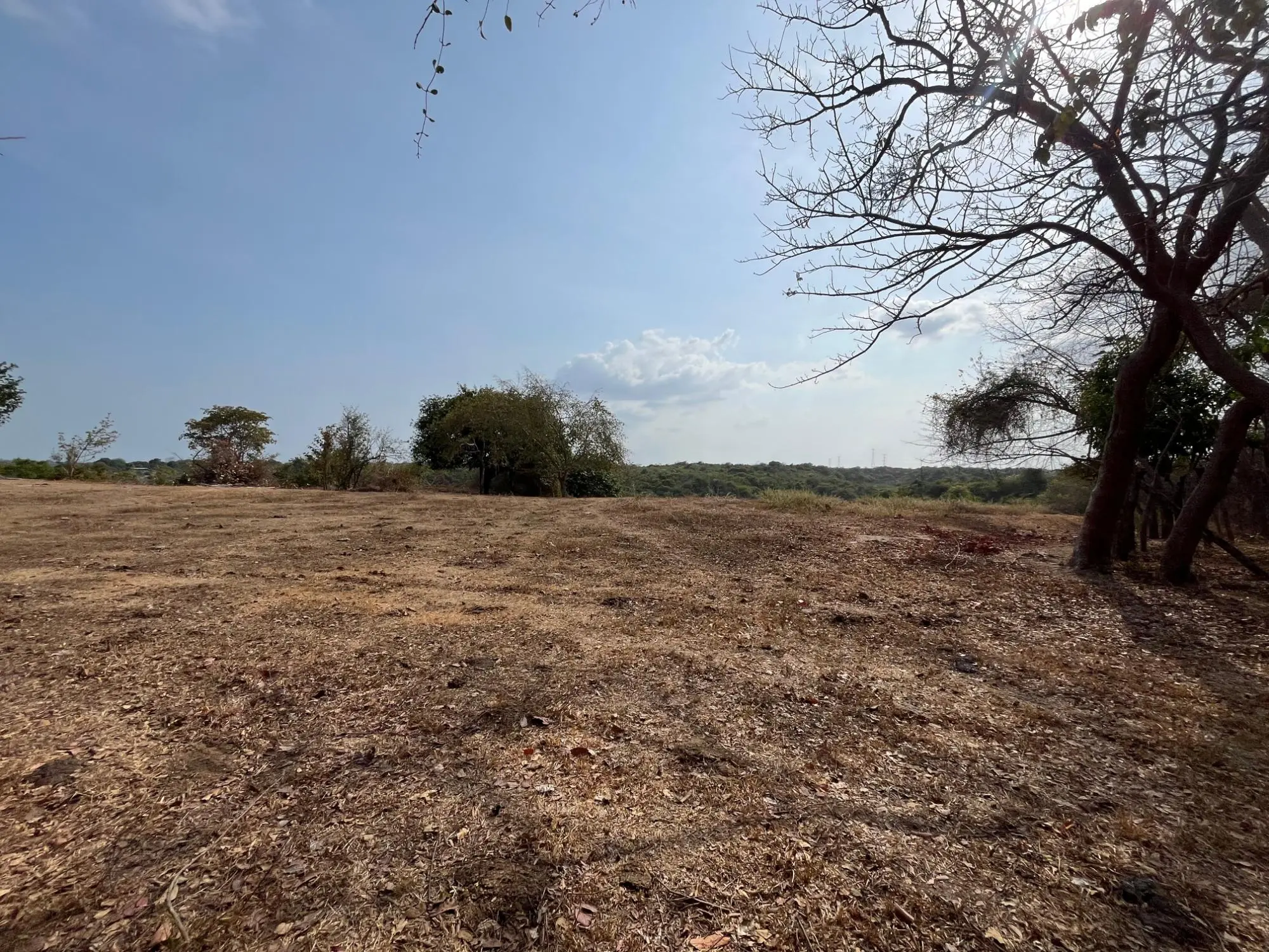 El Higo De San Carlos - Photo 48