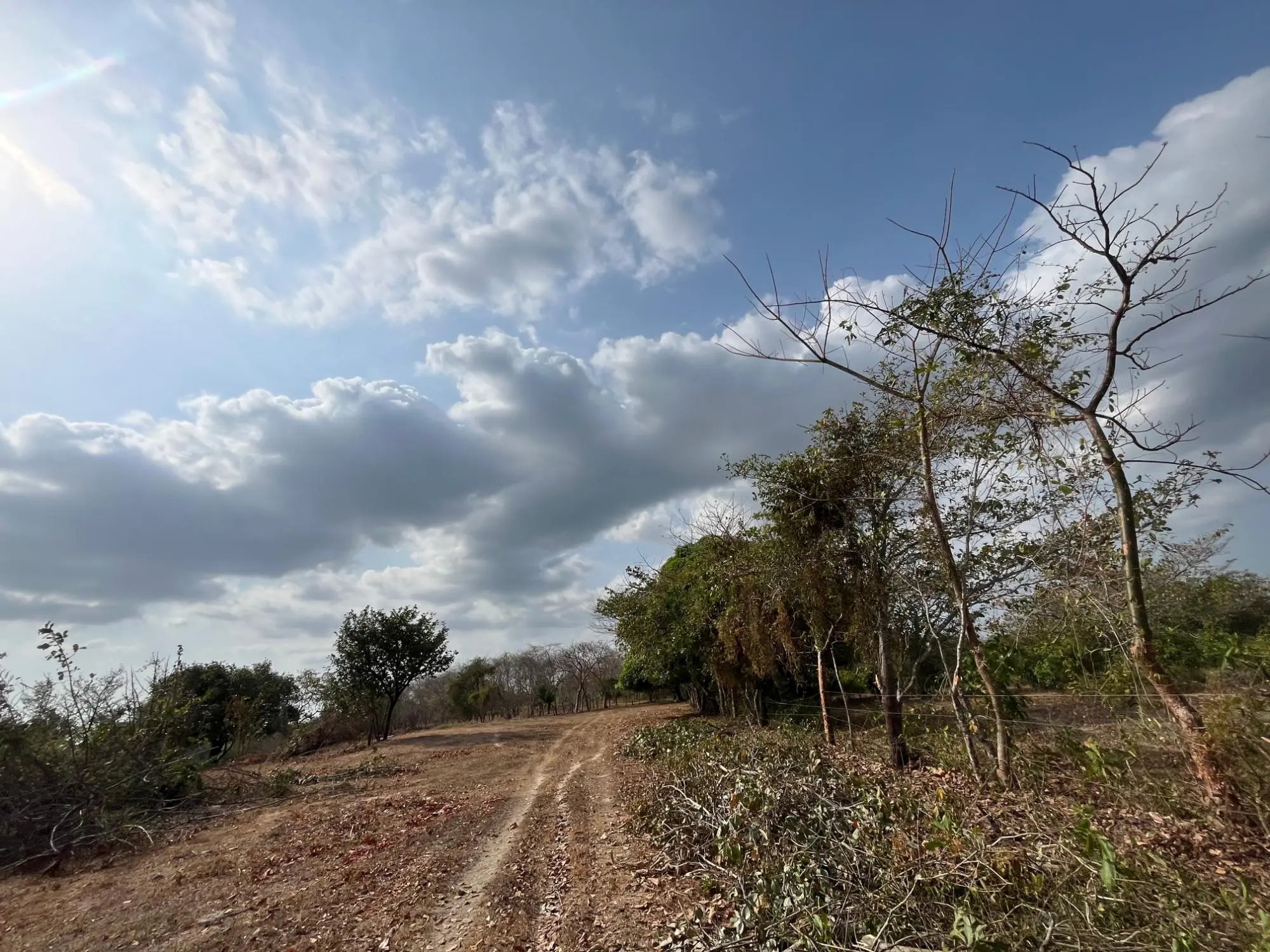 El Higo De San Carlos - Photo 25