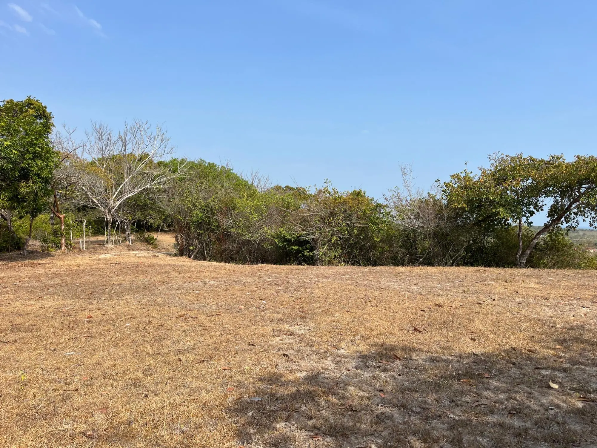 El Higo De San Carlos - Photo 18