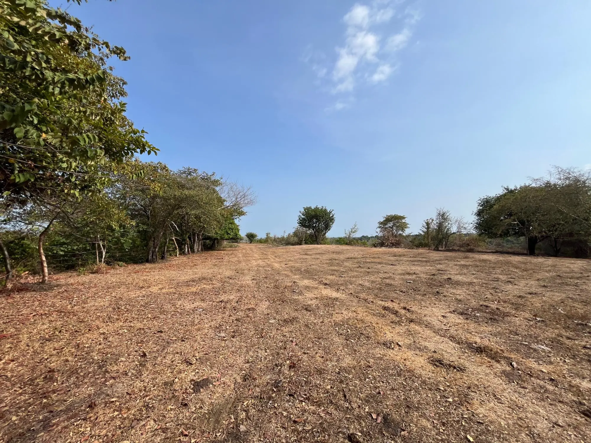 El Higo De San Carlos - Photo 44