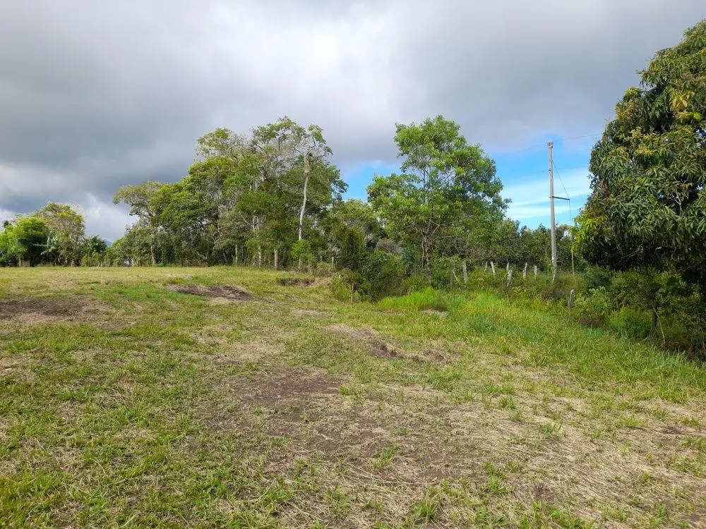 Potrerillos Arriba - Photo 4