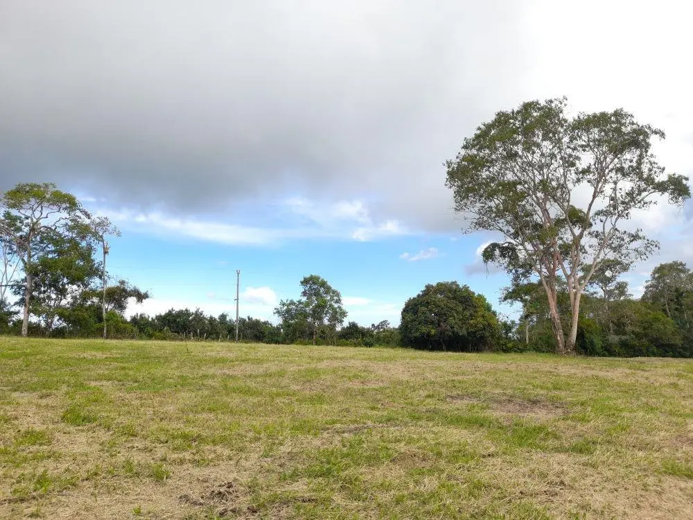 Potrerillos Arriba - Photo 29