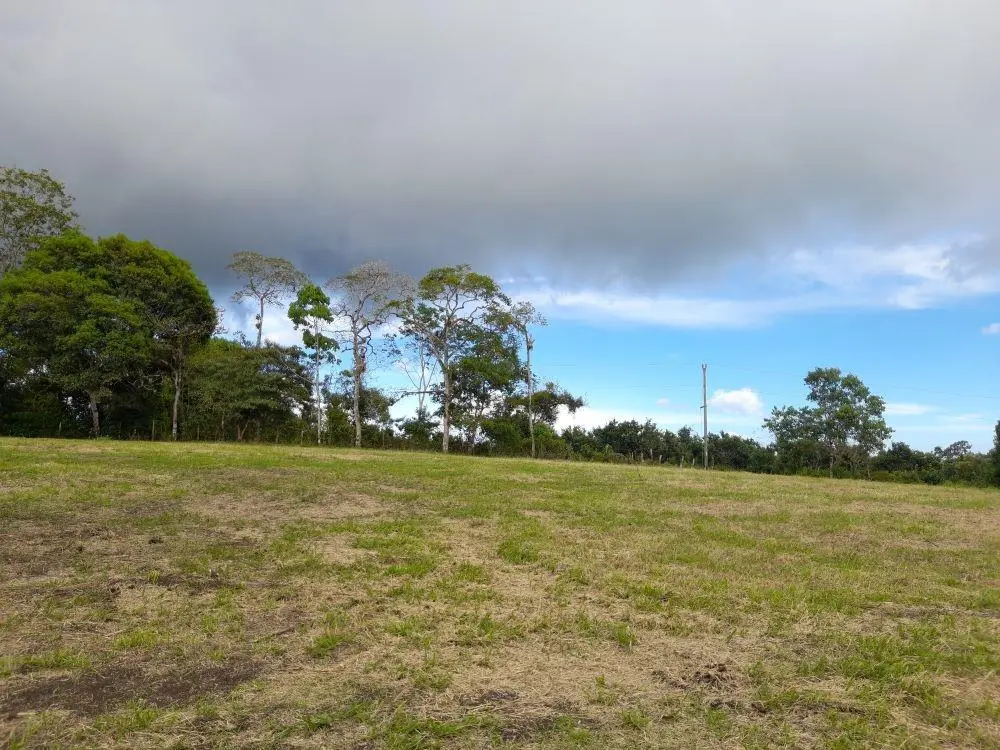 Potrerillos Arriba - Photo 25