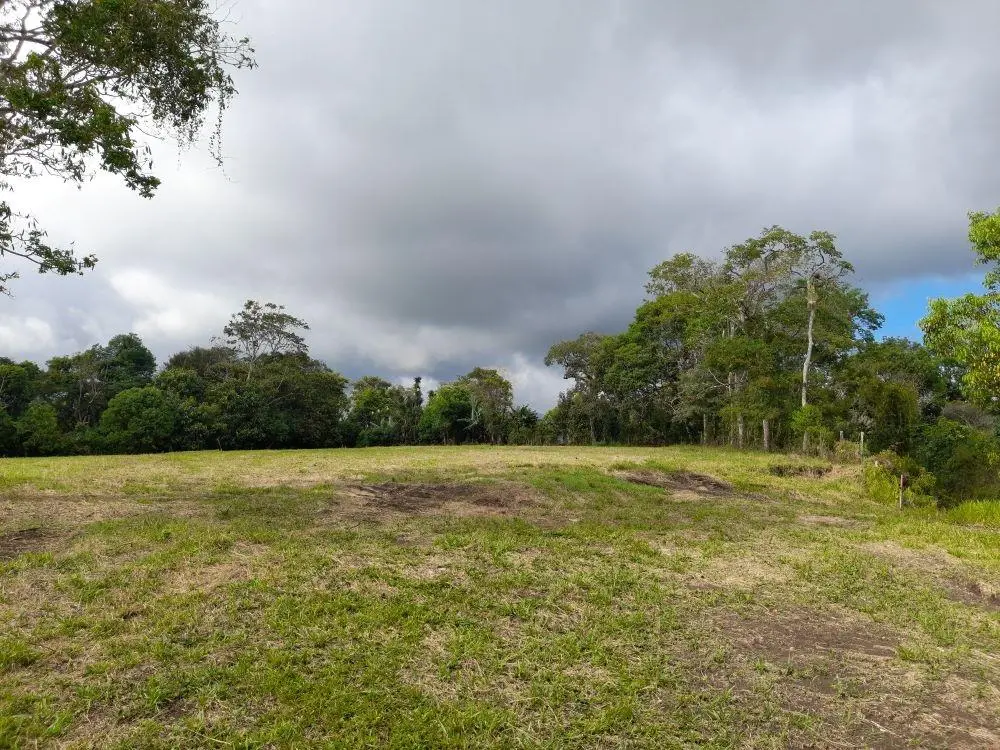 Potrerillos Arriba - Photo 7