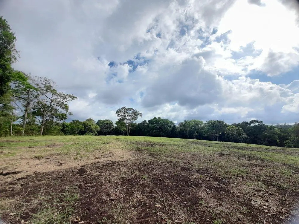 Potrerillos Arriba - Photo 12