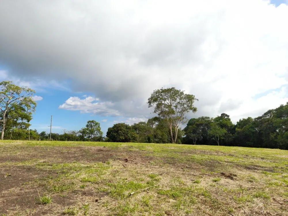 Potrerillos Arriba - Photo 24