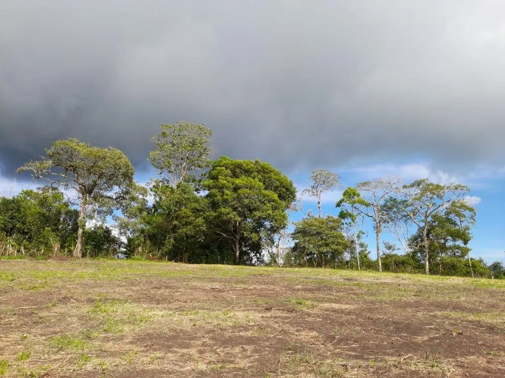 Potrerillos Arriba - Photo 20