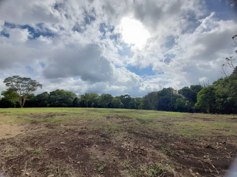 Potrerillos Arriba - Photo 15