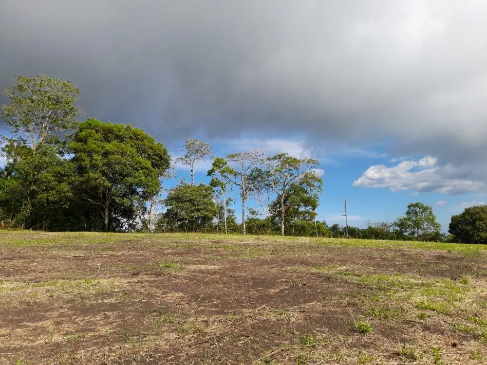 Potrerillos Arriba - Photo 18