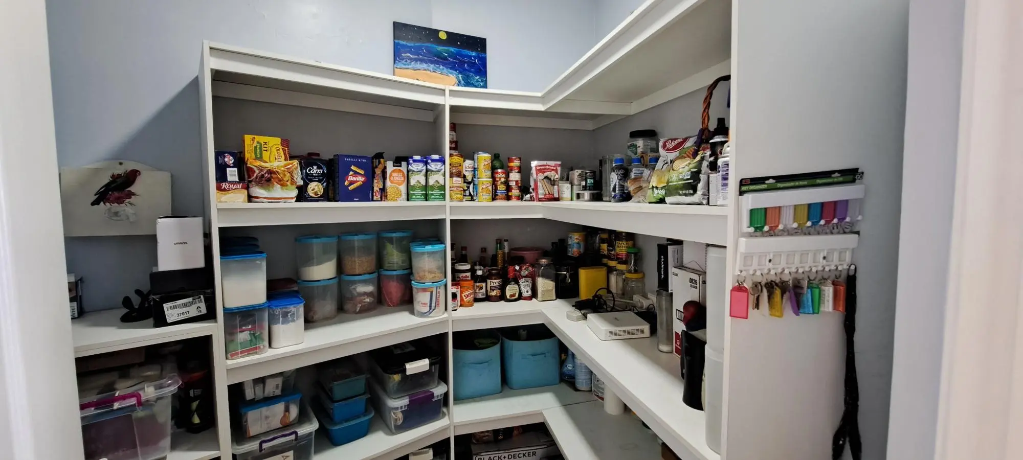 Majagual, Veracruz - Photo 11