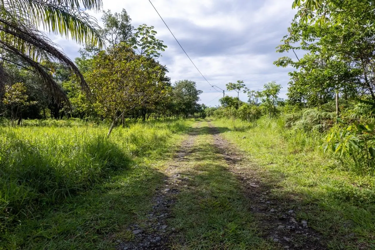 0 Chiriquí, Boquete, Caldera, Lote De 5,436 M2 - Photo 54