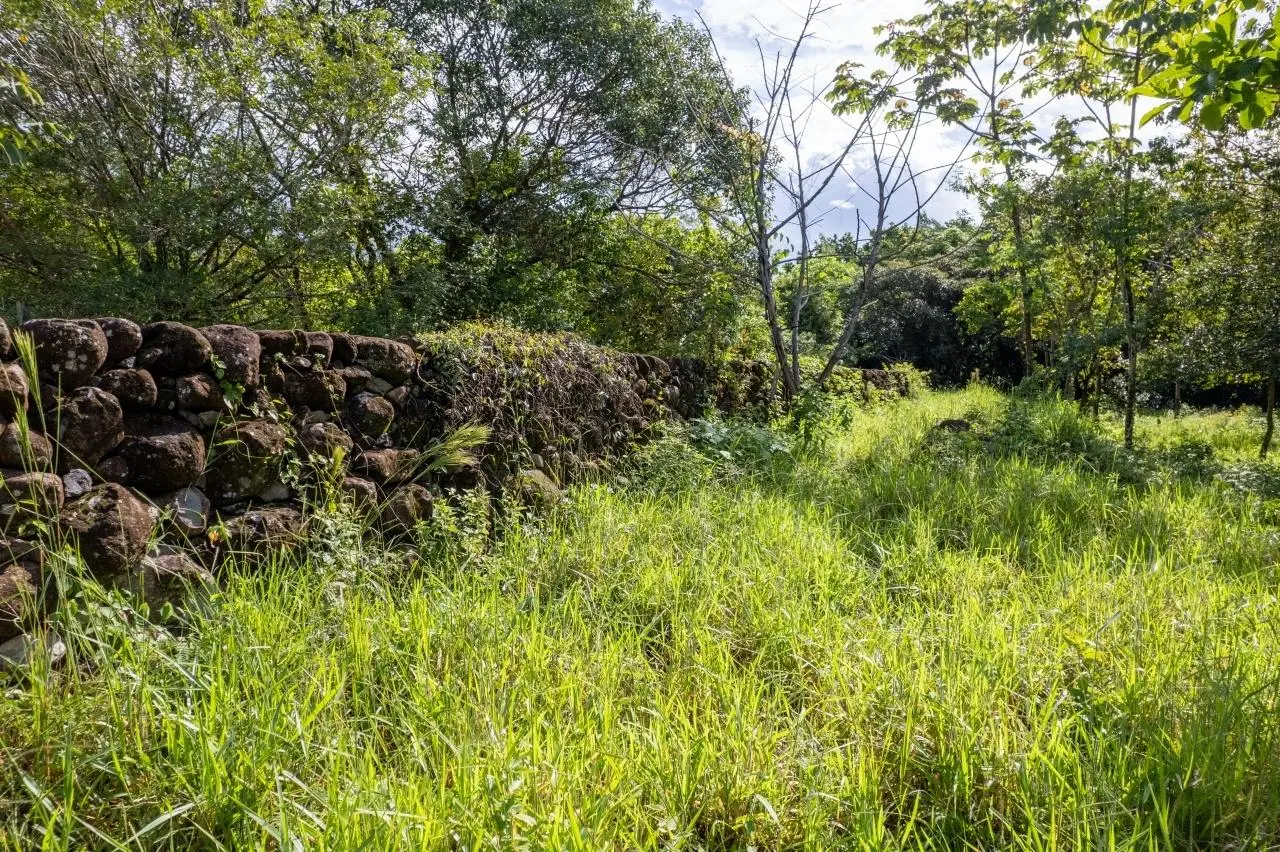 0 Chiriquí, Boquete, Caldera, Lote De 5,436 M2 - Photo 49