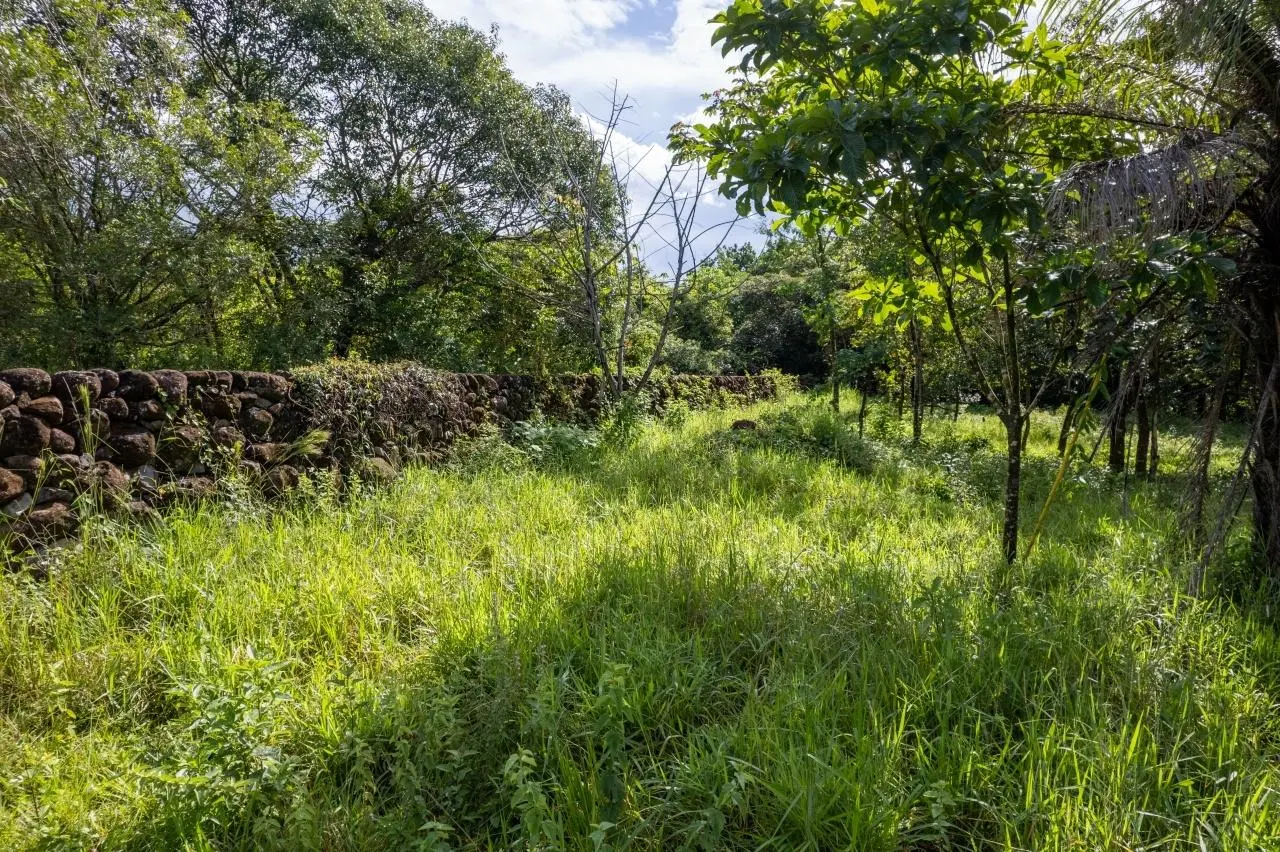 0 Chiriquí, Boquete, Caldera, Lote De 5,436 M2 - Photo 46