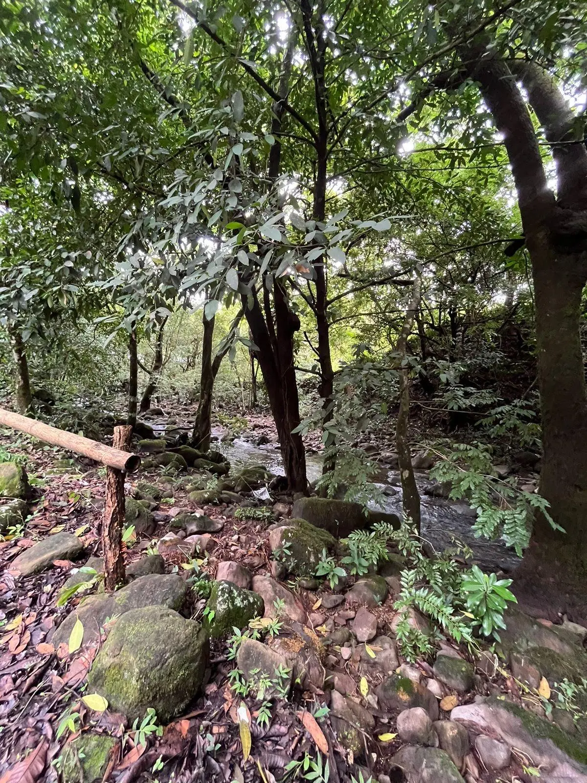 0 Chiriquí, Boquete, Caldera, Lote De 5,436 M2 - Photo 56