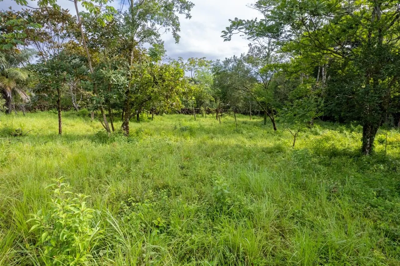 0 Chiriquí, Boquete, Caldera, Lote De 5,436 M2 - Photo 41