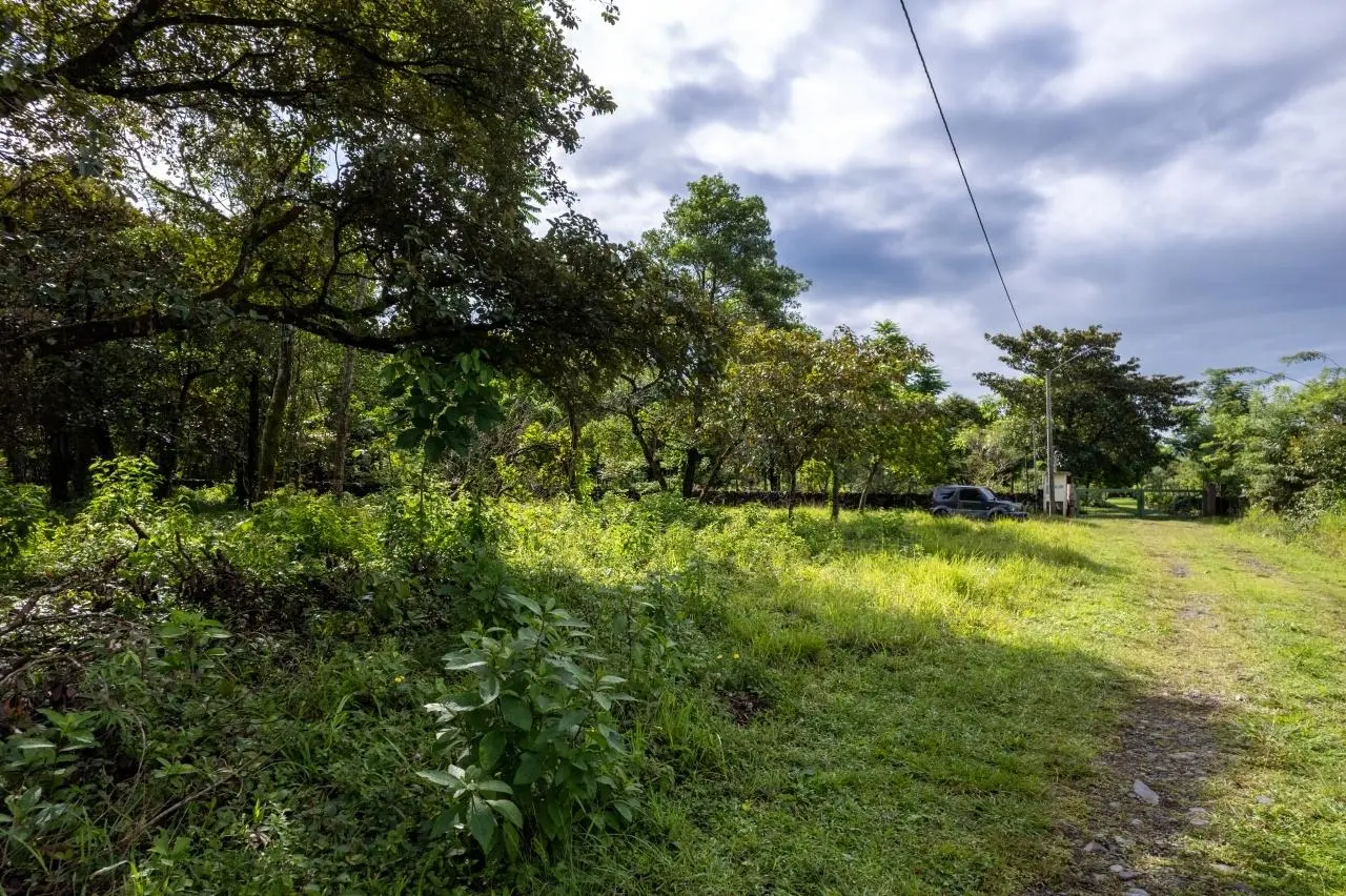 0 Chiriquí, Boquete, Caldera, Lote De 5,436 M2 - Photo 39