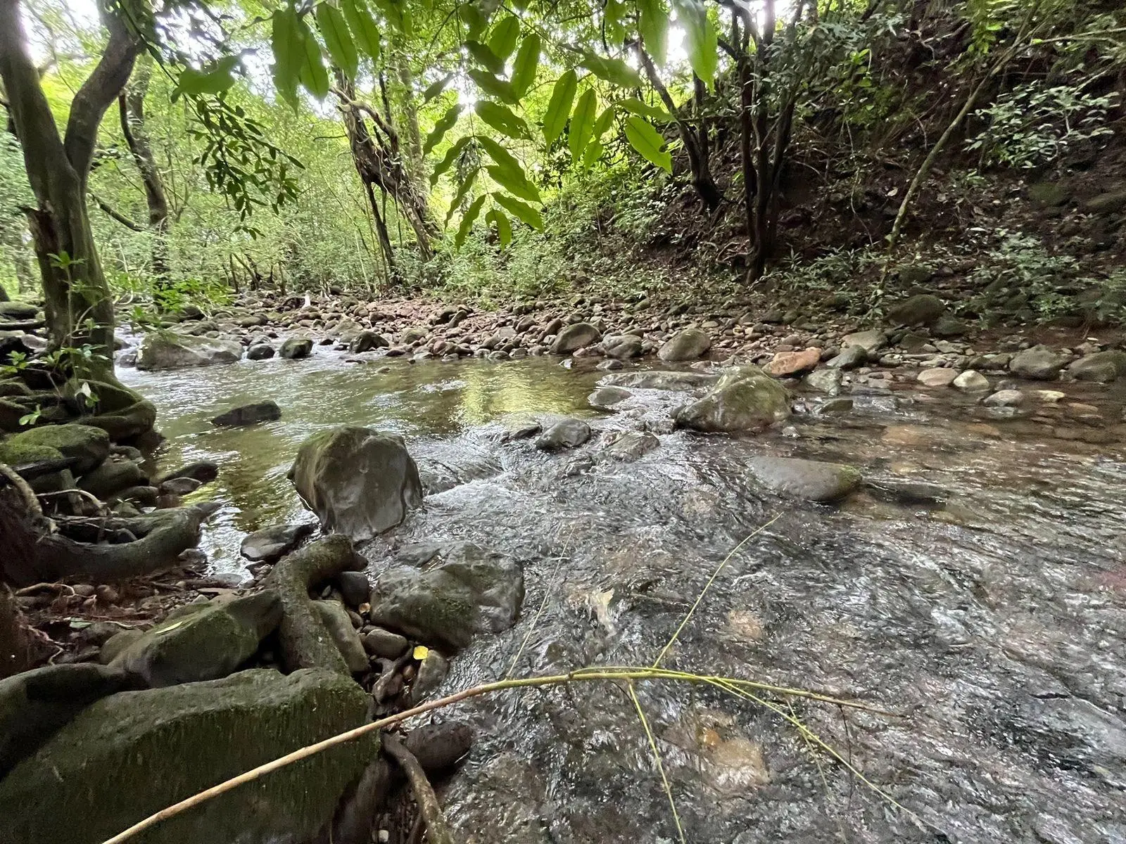 0 Chiriquí, Boquete, Caldera, Lote De 5,436 M2 - Photo 62