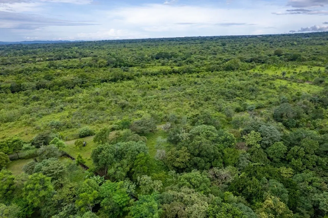 0 Chiriquí, Boquete, Caldera, Lote De 5,436 M2 - Photo 22