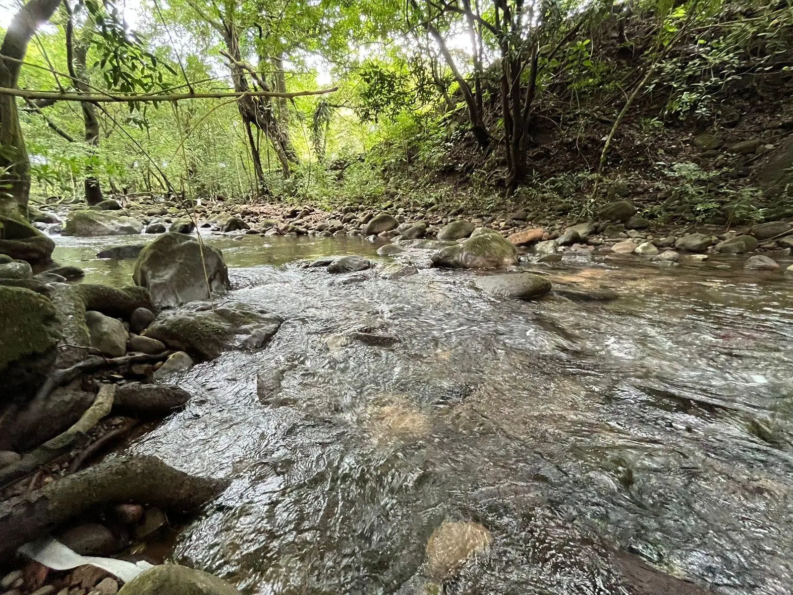 0 Chiriquí, Boquete, Caldera, Lote De 5,436 M2 - Photo 60