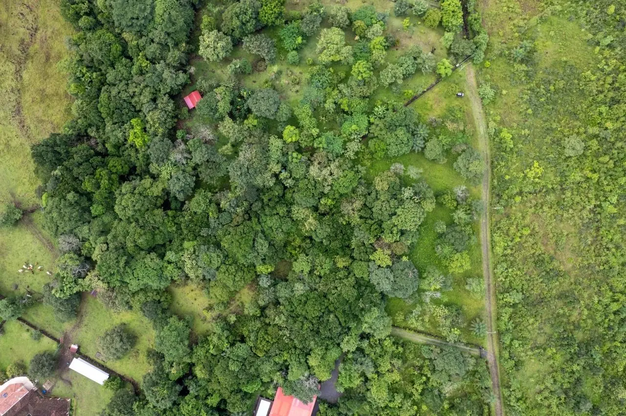 0 Chiriquí, Boquete, Caldera, Lote De 5,436 M2 - Photo 5