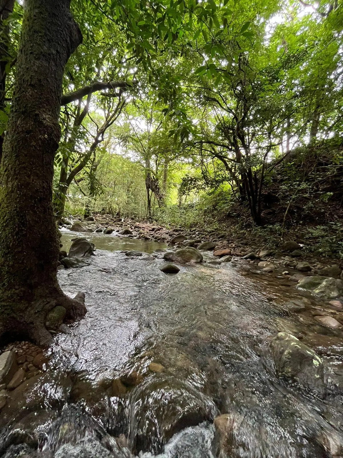 0 Chiriquí, Boquete, Caldera, Lote De 5,436 M2 - Photo 68