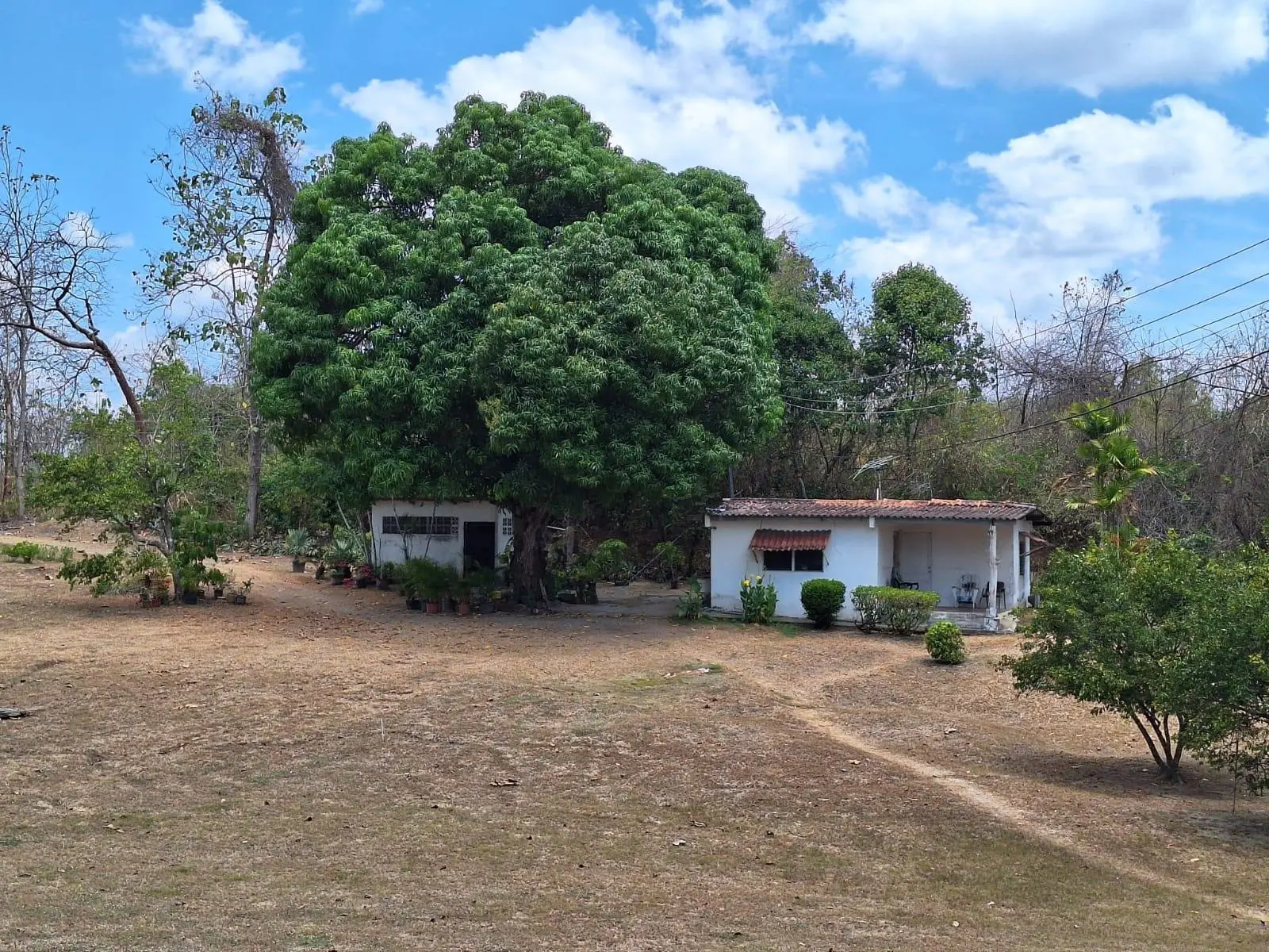 Chumico Redondo #las Guias - Photo 51