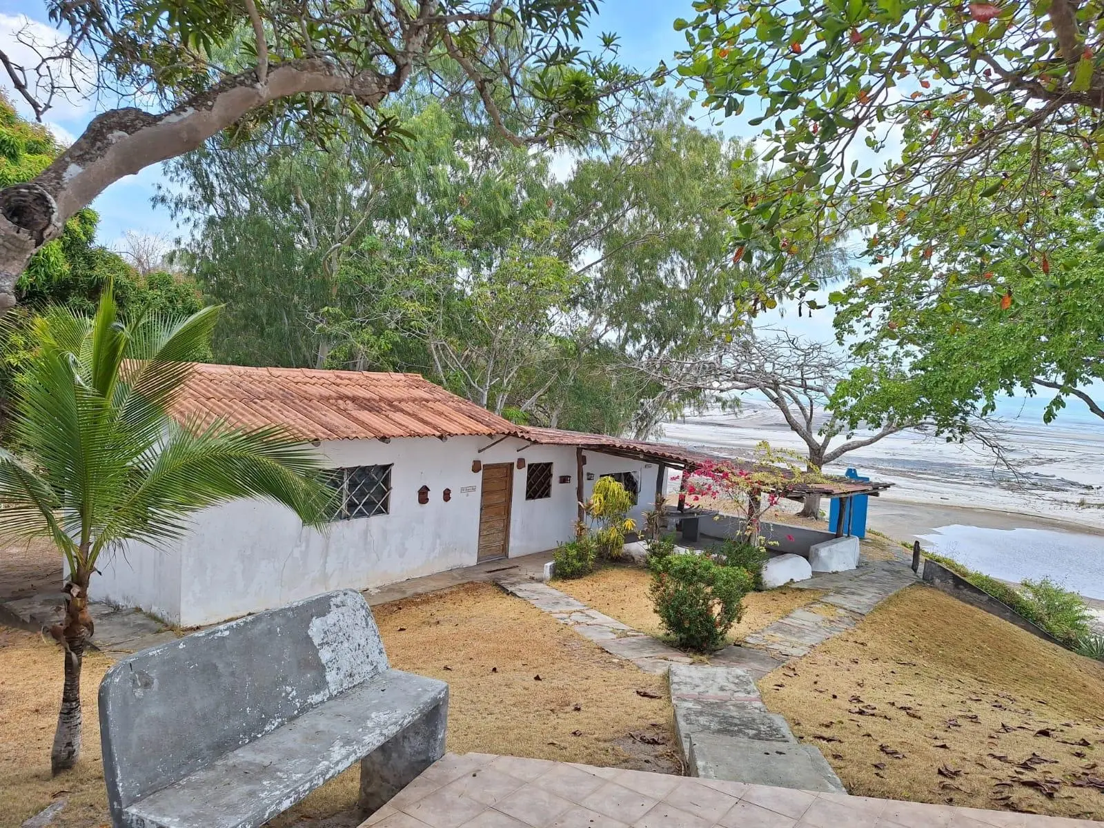 Chumico Redondo #las Guias - Photo 33