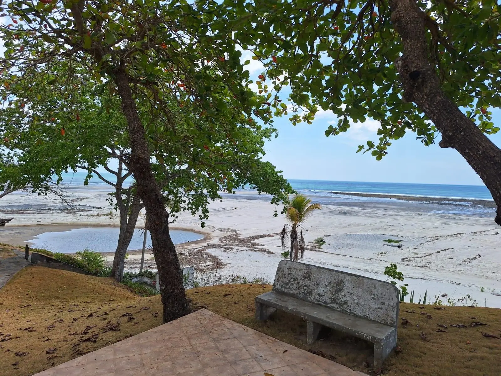 Chumico Redondo #las Guias - Photo 46