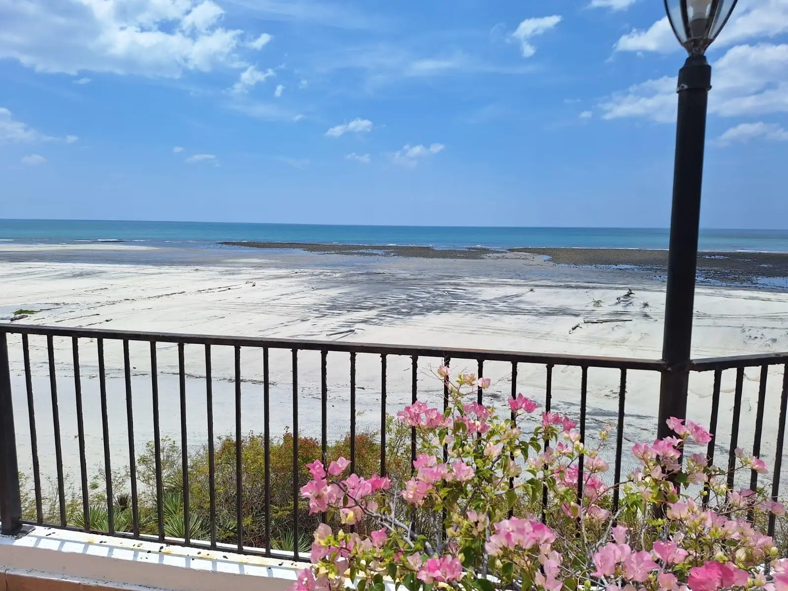 Chumico Redondo #las Guias - Photo 64