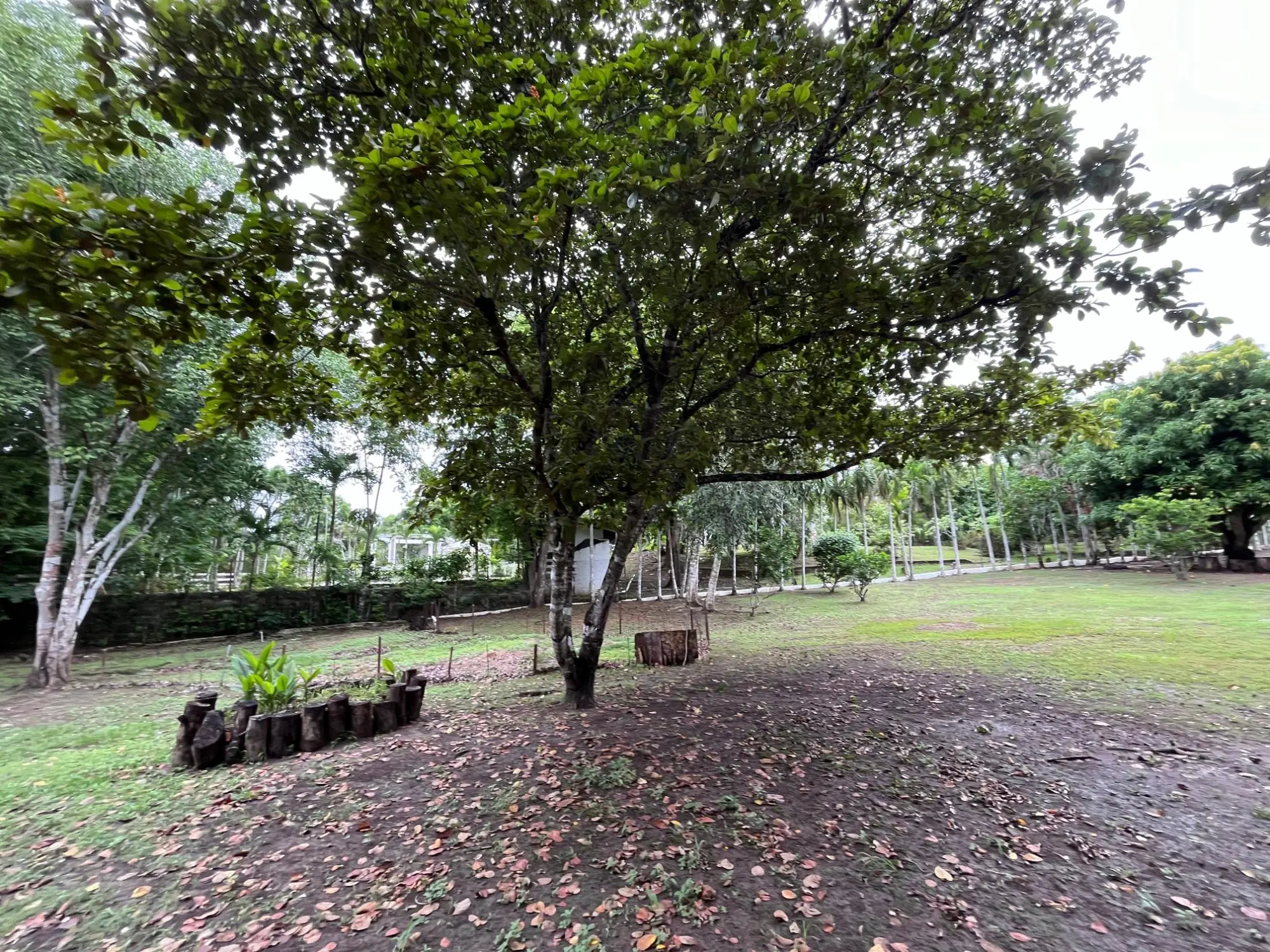 Vía Principal De Playa Corona, Lote 27 #casa 27 - Photo 36