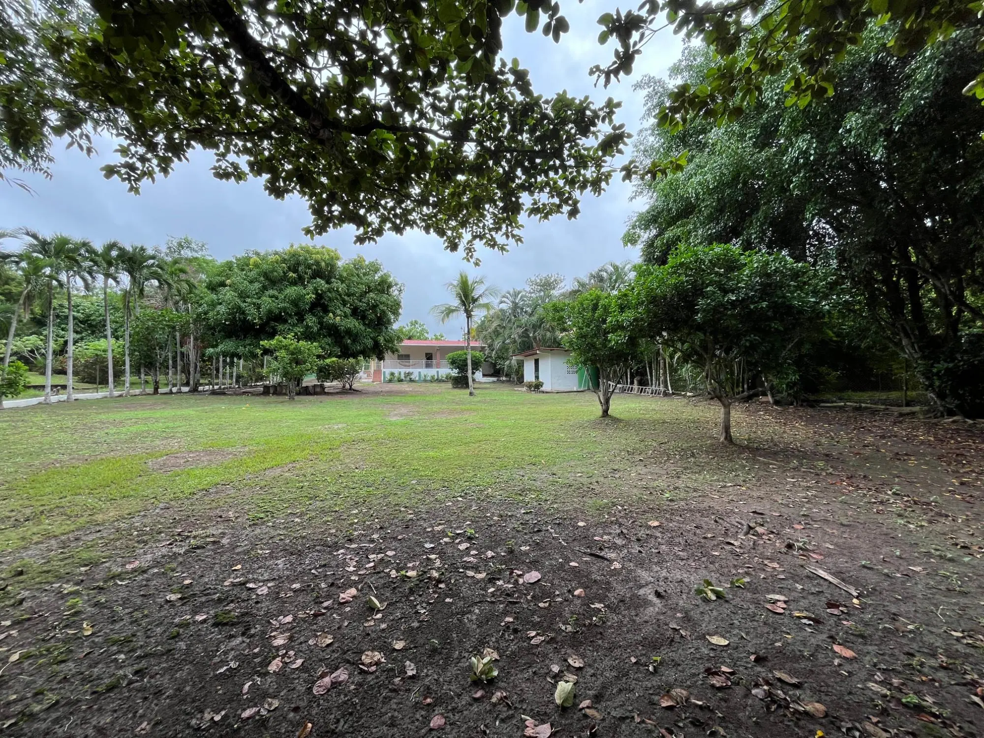 Vía Principal De Playa Corona, Lote 27 #casa 27 - Photo 39