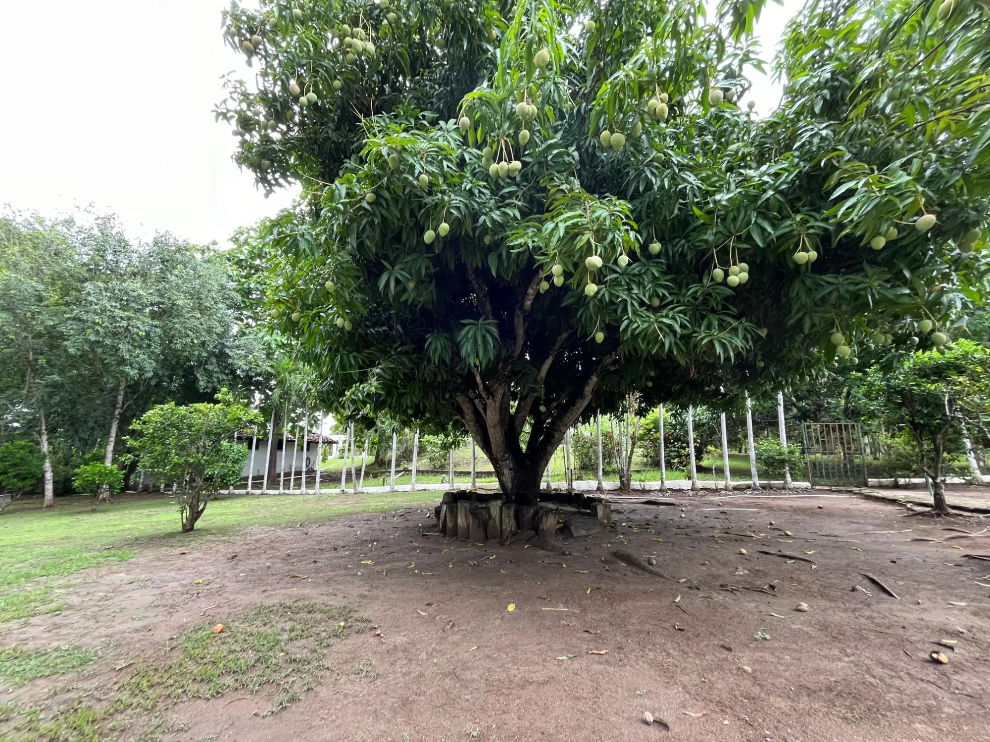 Vía Principal De Playa Corona, Lote 27 #casa 27 - Photo 38