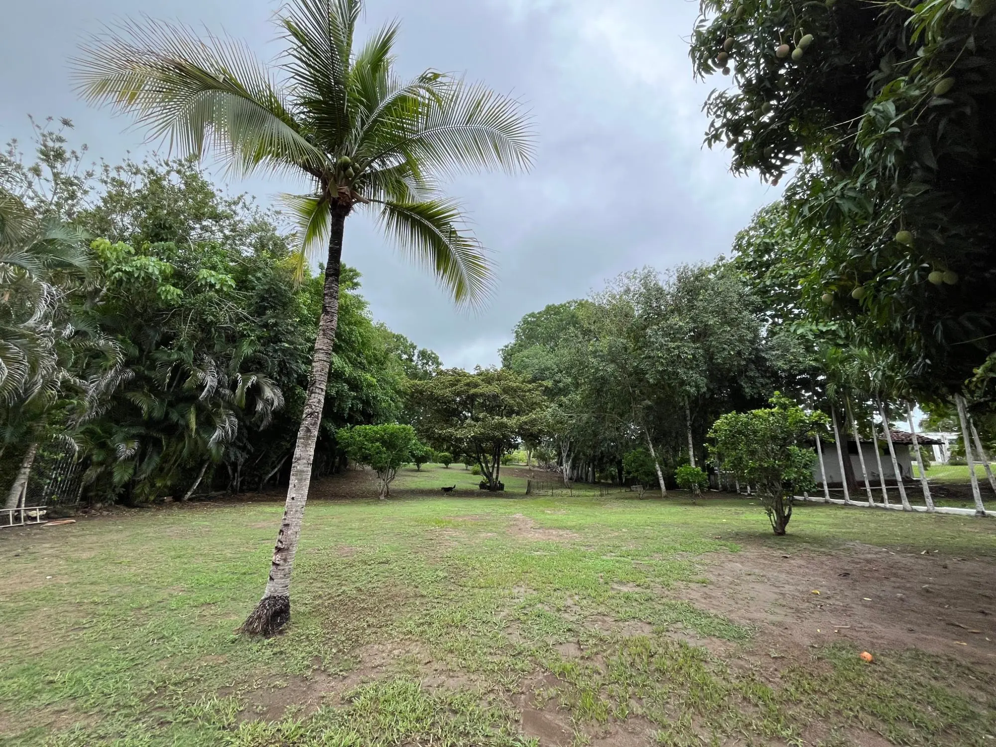 Vía Principal De Playa Corona, Lote 27 #casa 27 - Photo 37