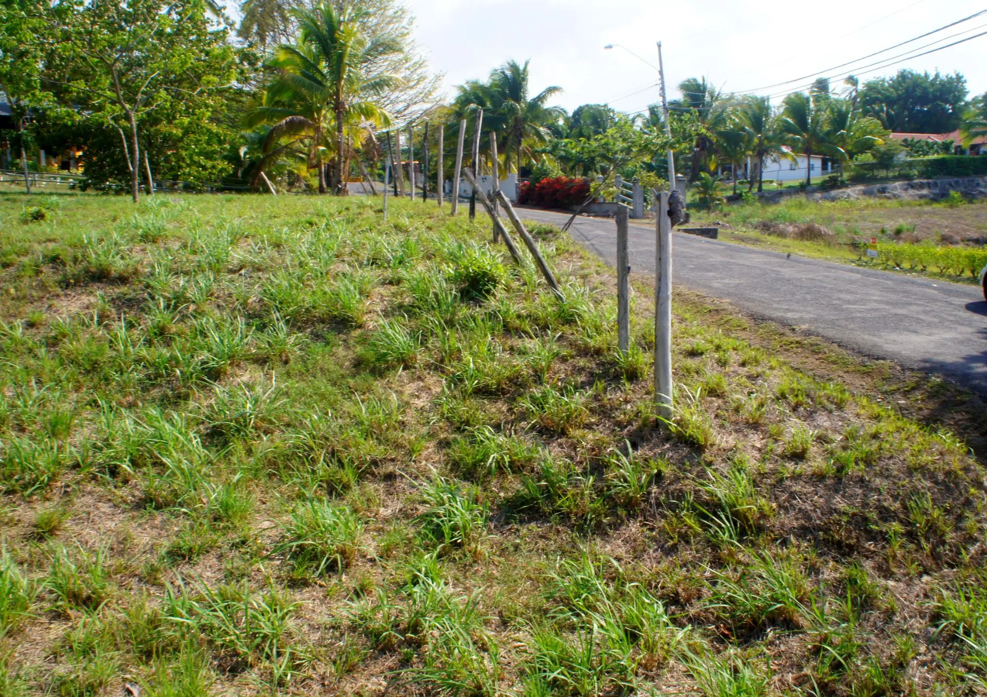 Las Uvas #terreno - Photo 9