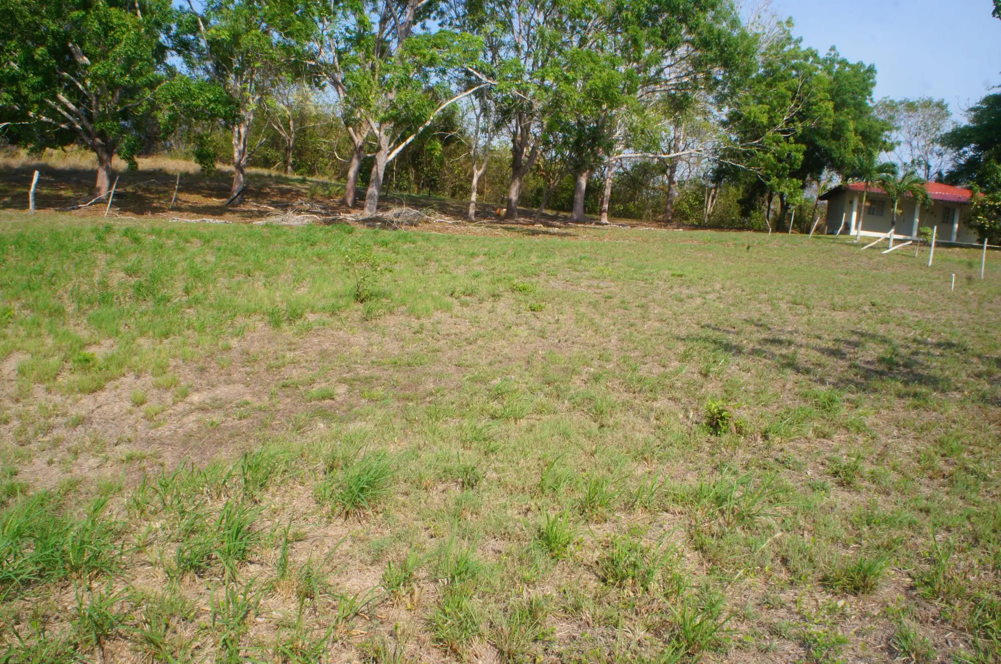 Las Uvas #terreno - Photo 18