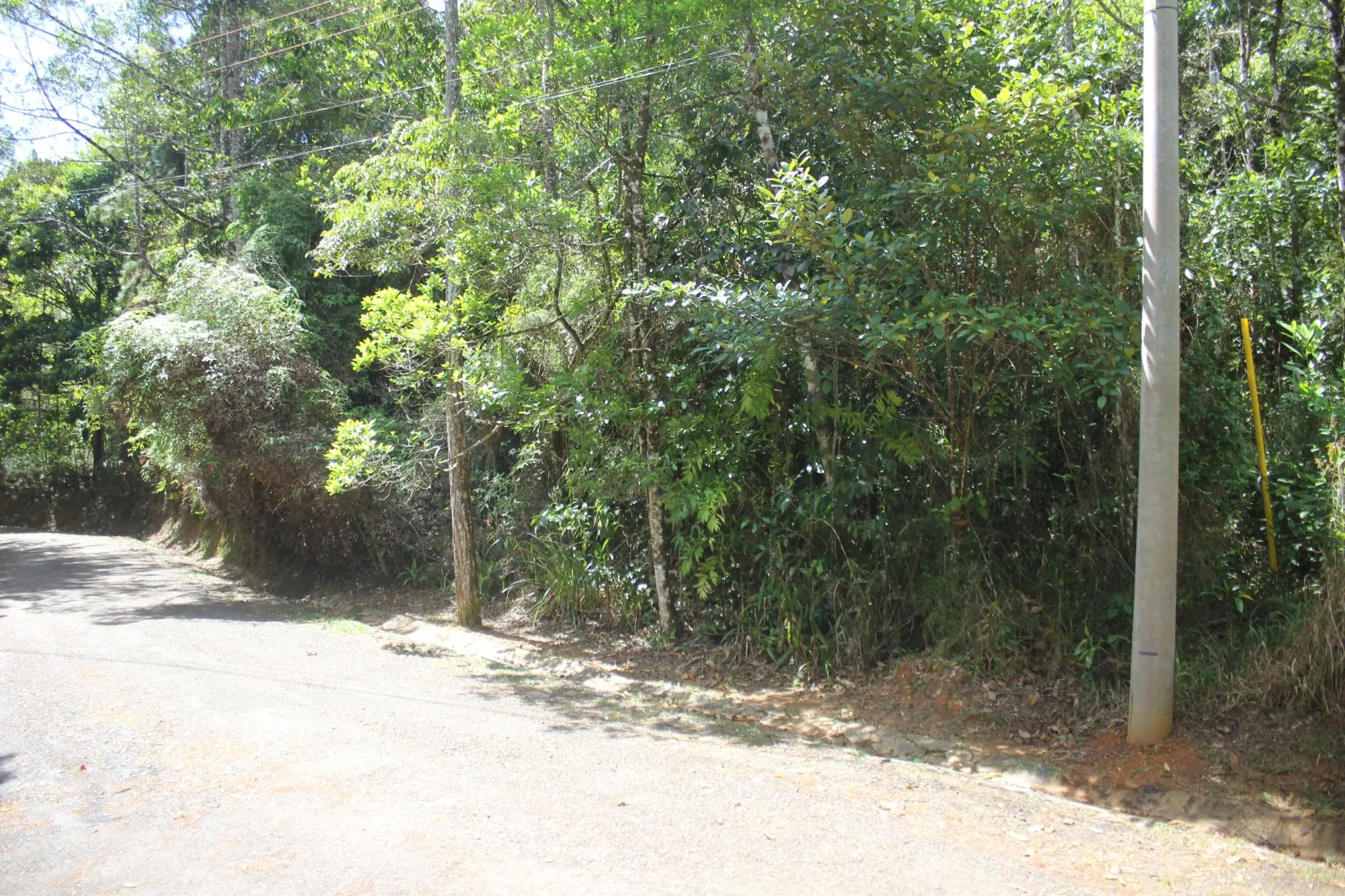 Cerro Azul #terreno - Photo 12