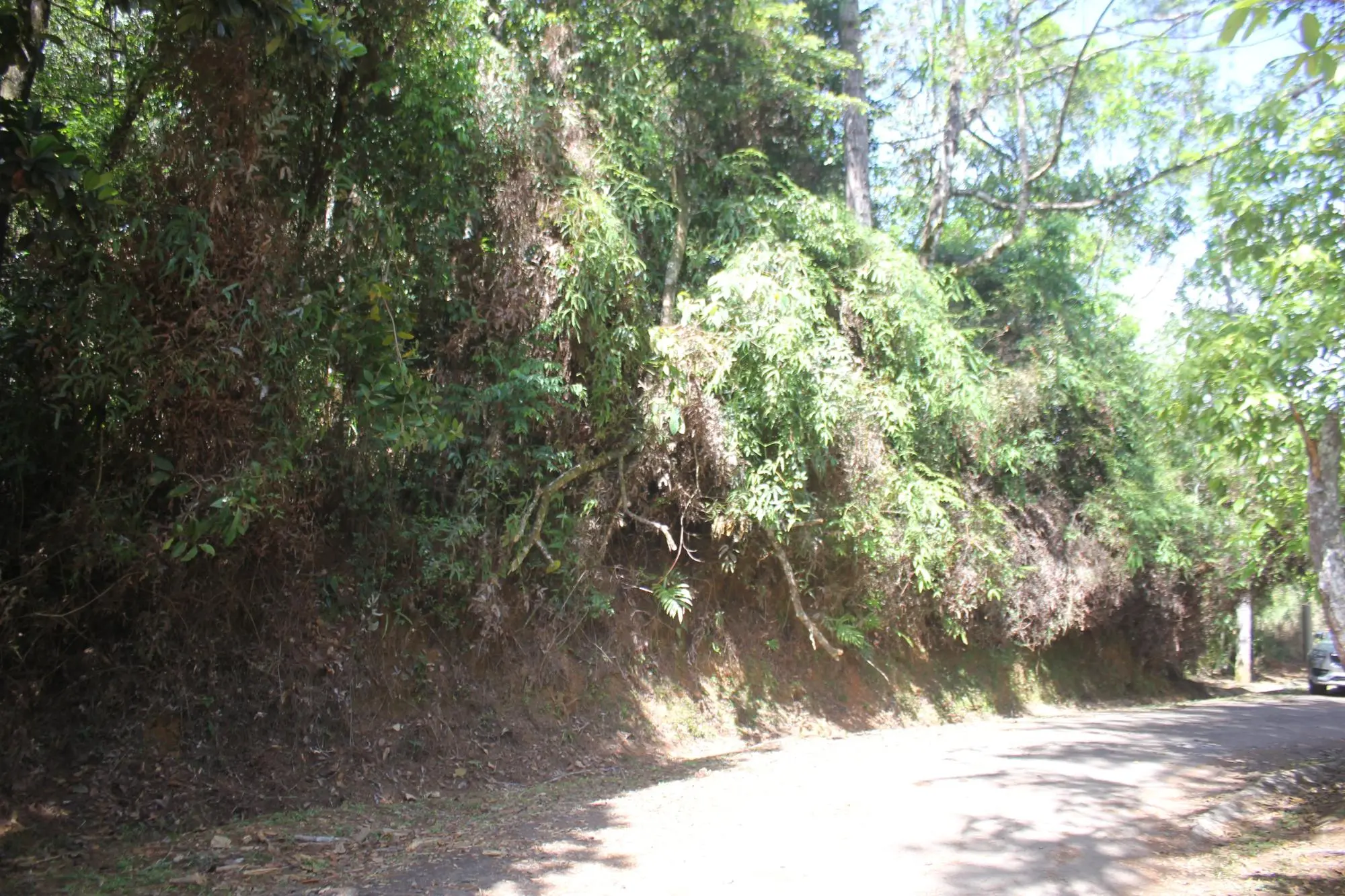 Cerro Azul #terreno - Photo 27