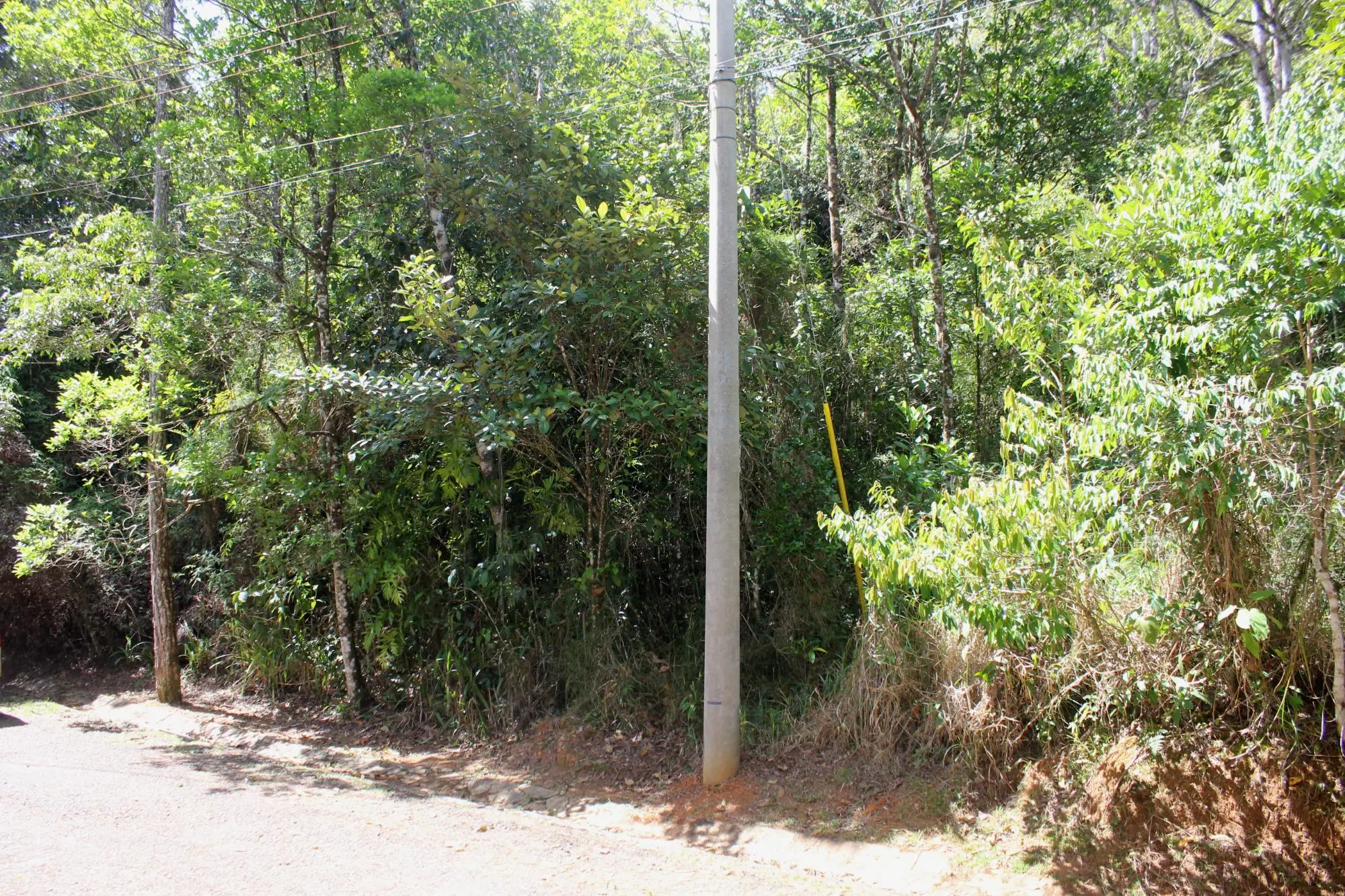 Cerro Azul #terreno - Photo 24