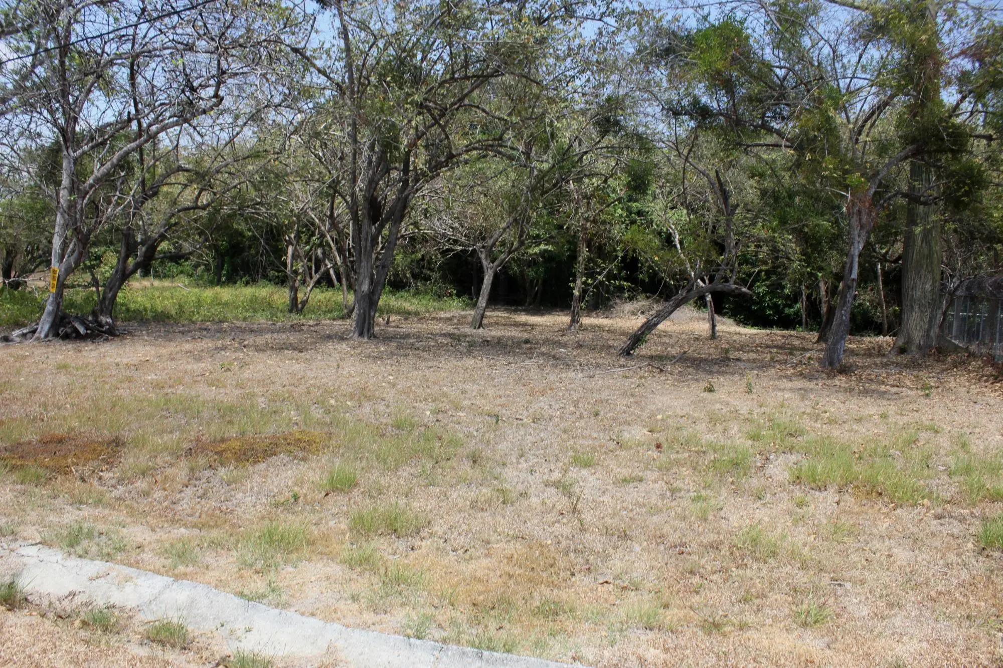 el retiro, antòn #terreno