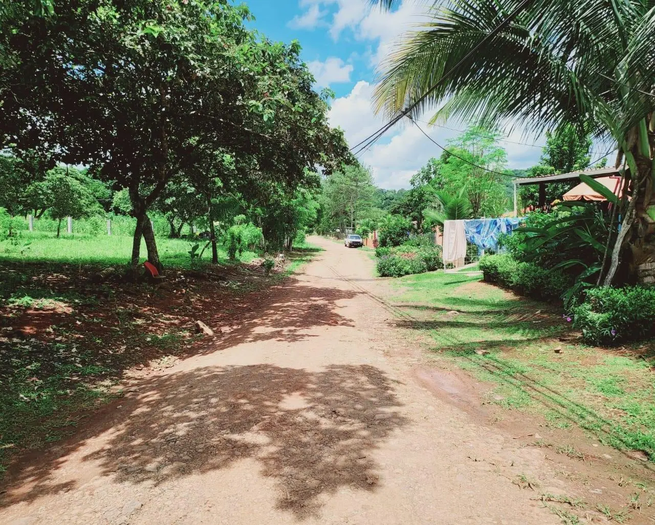 Potrero Grande, Chorrera - Photo 18