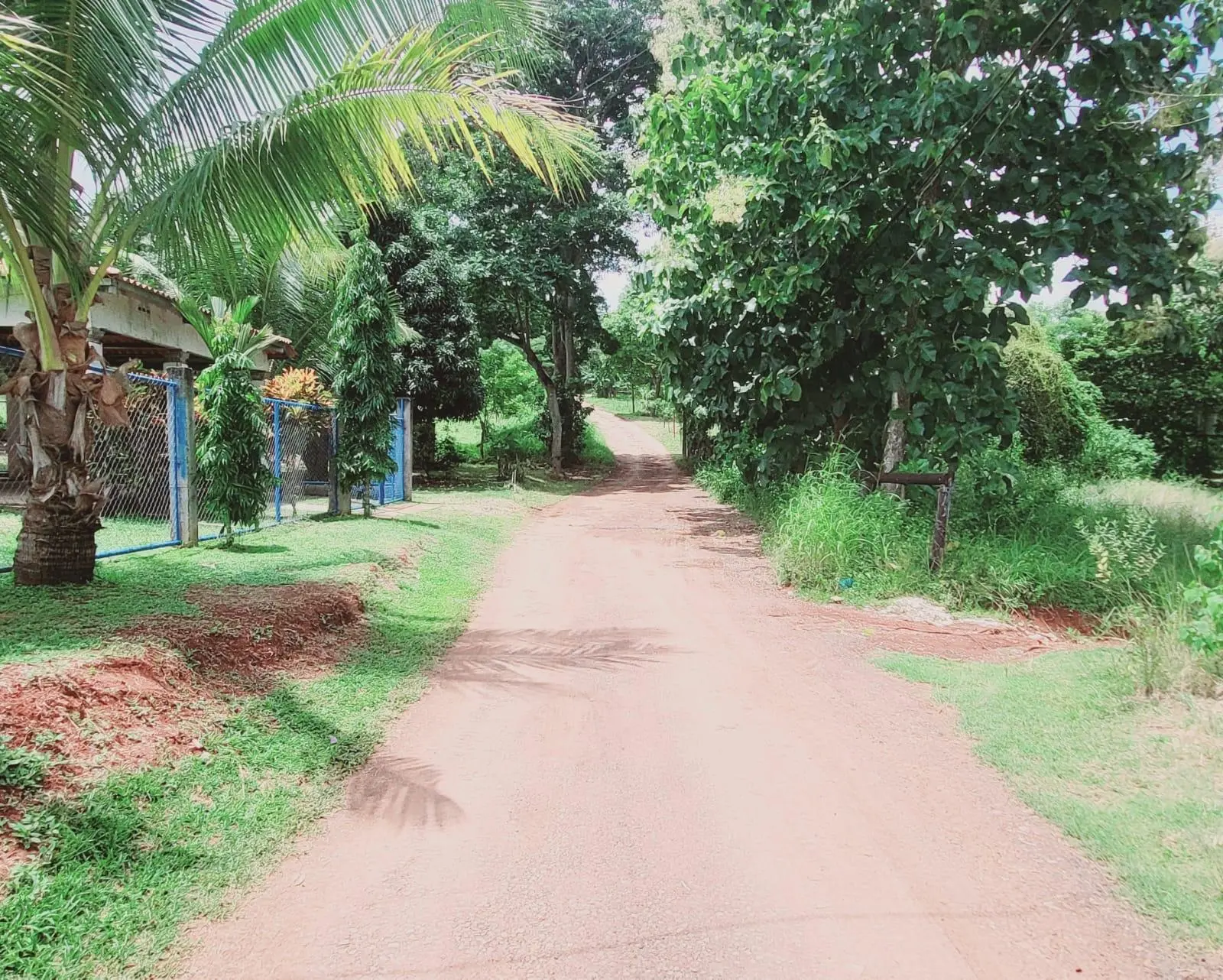 Potrero Grande, Chorrera - Photo 22