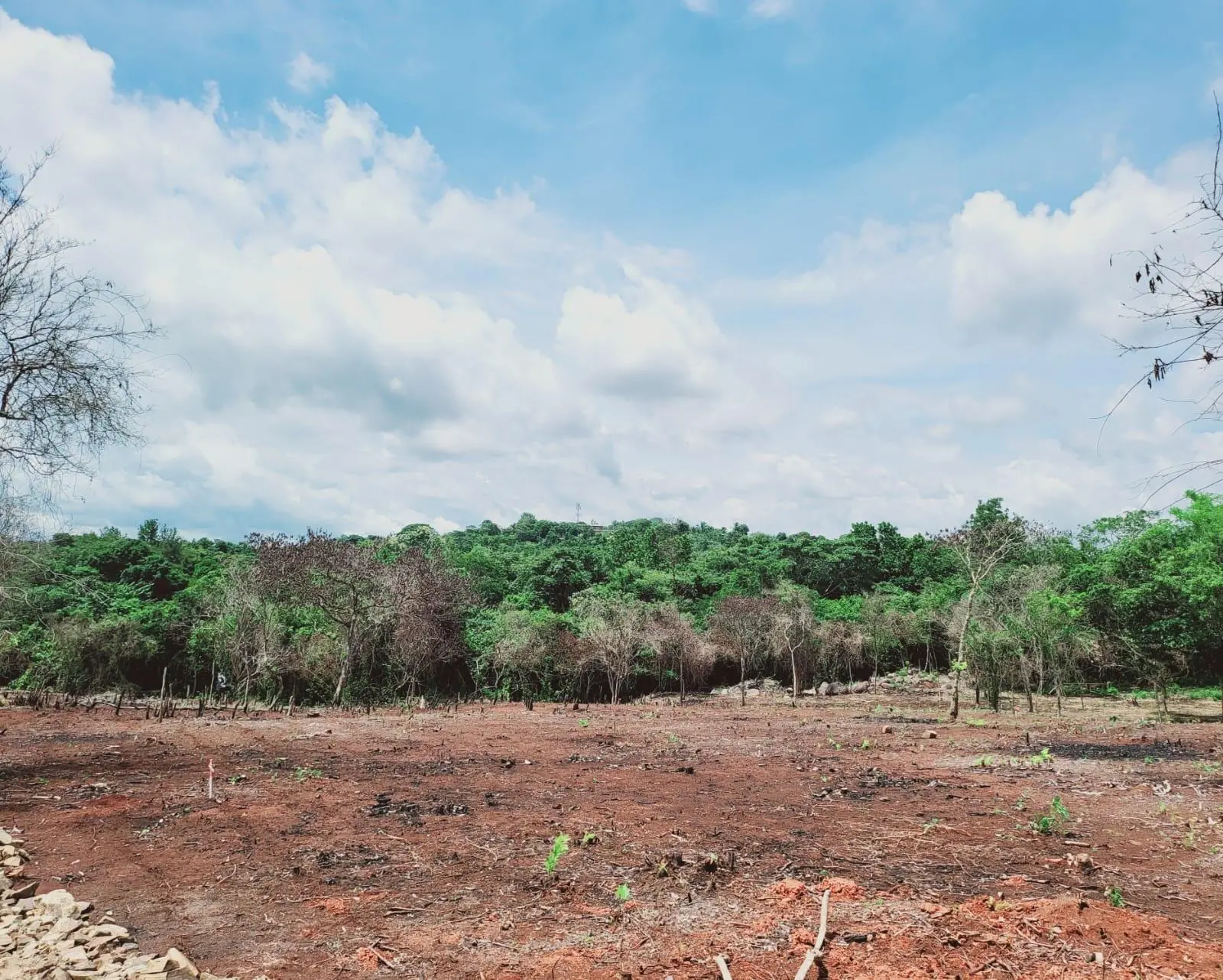 Potrero Grande, Chorrera - Photo 8