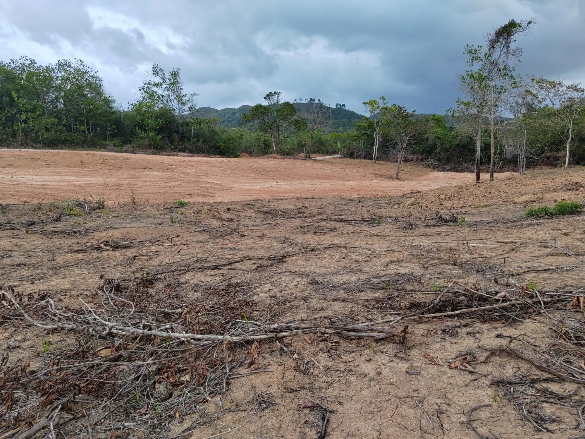 Lote #3 La Candelaria - Photo 8